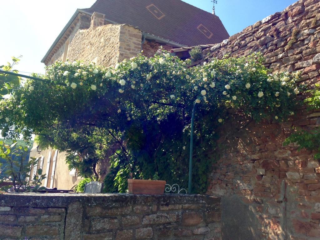 Le Vieux Chateau Bed & Breakfast Leynes Exterior photo